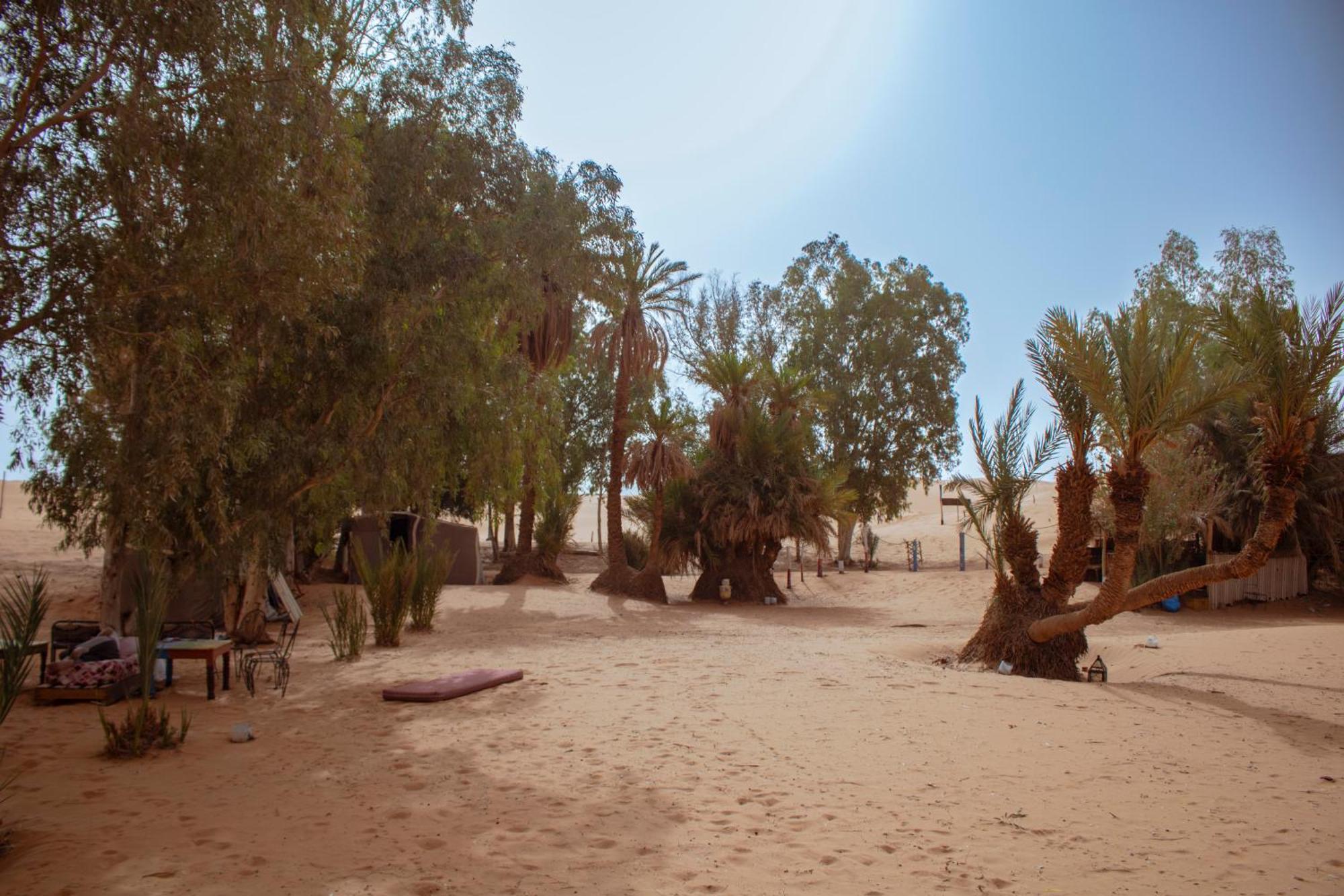 Oasis Desert Camp Obira مرزوكة المظهر الخارجي الصورة