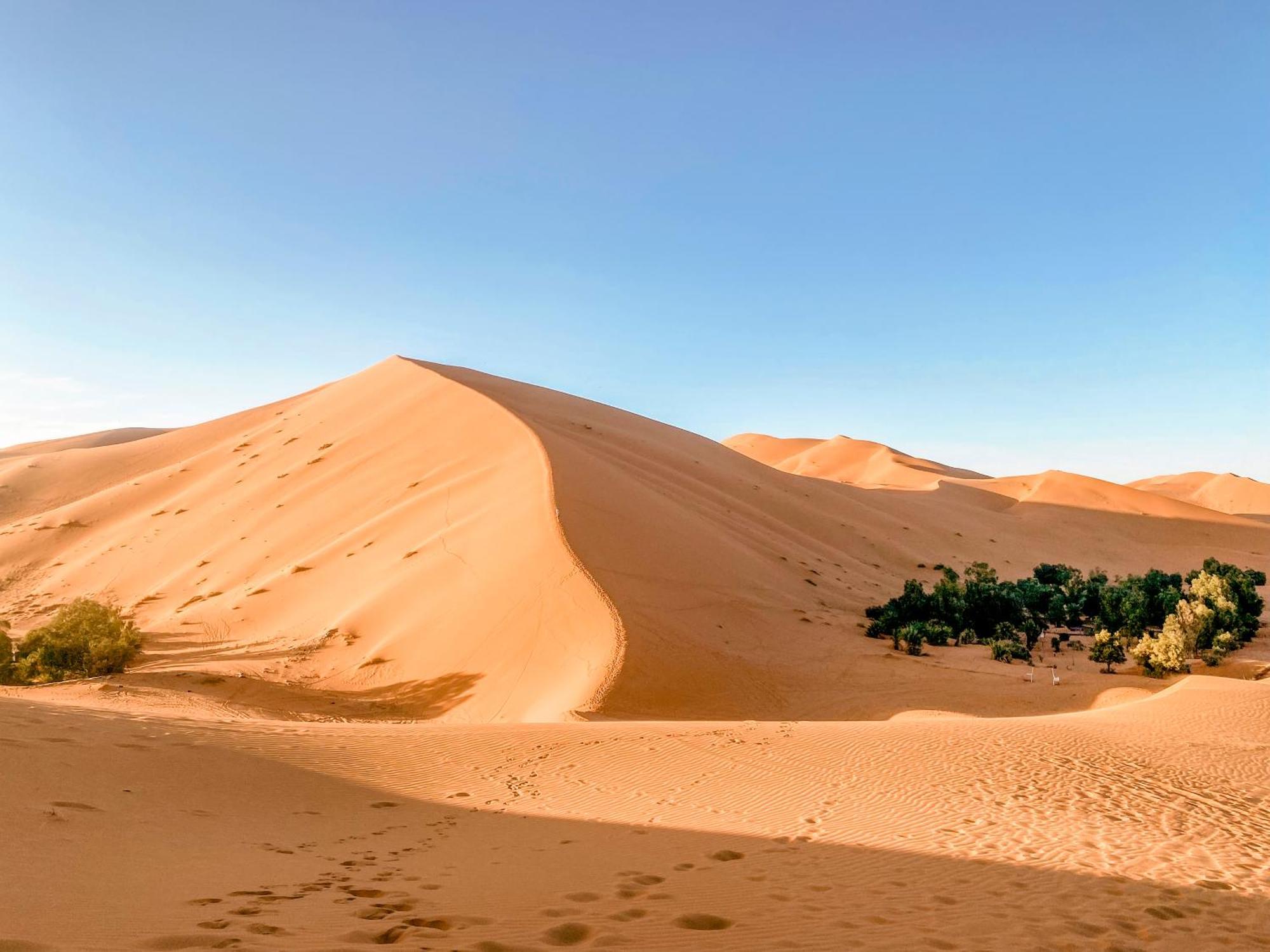 Oasis Desert Camp Obira مرزوكة المظهر الخارجي الصورة